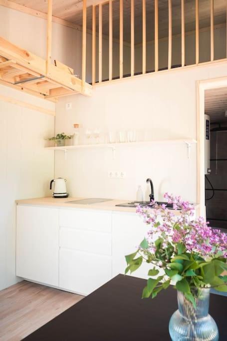 Palukuela Tiny House Kuuse